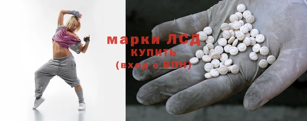 индика Бугульма