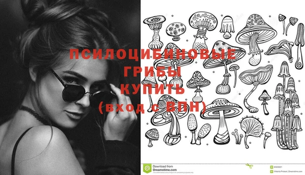 индика Бугульма