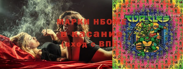 индика Бугульма