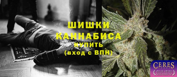 дмт Бородино