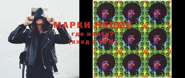дмт Бородино