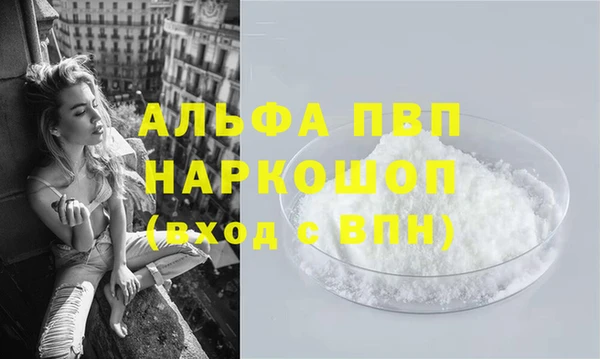 дмт Бородино